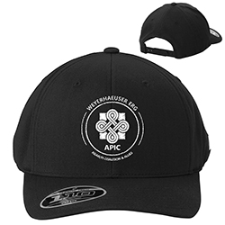 Apic - Travismathew Fomo Solid Cap