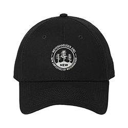 New - New Era Adjustable Structured Cap